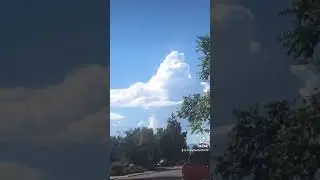 harambe angel cloud