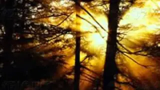 Kitaro -  Symphony of the forest