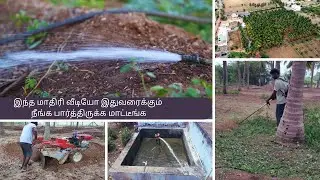 வெய்யில் காலத்தில் தென்னைக்கு எப்படி நீர் பாய்ச்சுவது/பாரம்பரிய  முறையே சிறந்தது 🌲🌲💧