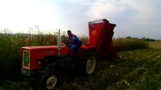 Zmaj 221 i Ursus- Berba 2014 Majur