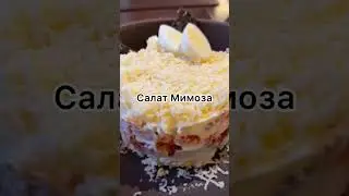 Сытный обед в ресторане «Мариус» на Марата 