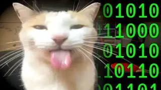 5 signs you are actually an AI