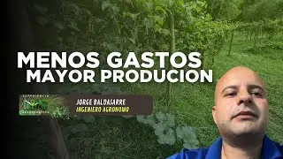 Testimonio de Jorge Baldasarre