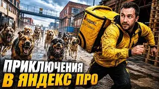 ЭТУ СМЕНУ ЗАПОМНЮ НАДОЛГО |ЧТО ВОЗЯТ В ЯНДЕКС ДОСТАВКЕ?|ЗАМОРОЖЕННЫЕ МЫШИ, ИГУАНЫ И СОБАЧЬИ РАЗБОРКИ