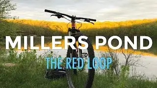 Red Loop at Millers Pond State Park in Durham, CT :: Mountain Biking Connecticut
