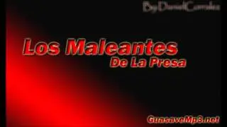 Hasta Los Grandes Lloraron   Los Maleantes De La Presa En Vivo 2013)