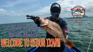 16 EKOR IKAN GRED A DALAM MASA 2 JAM!!  #inflatableboat #fishing