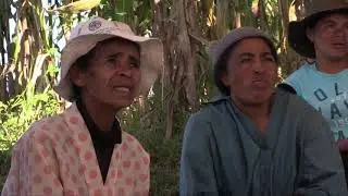 Riz pluvial à Madagascar : un exemple de sélection participative