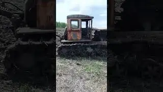Трактор Т-74 раритет в поле #синийтрактор #дт75 #dt75 #т74 #farming #plowing