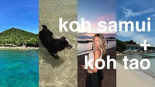 Thailand Vlog | relaxing, capybaras, beach days