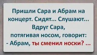 ✡️ Сара Занюхала Абрамовы Носки! Еврейские Анекдоты! Анекдоты про Евреев! Выпуск 