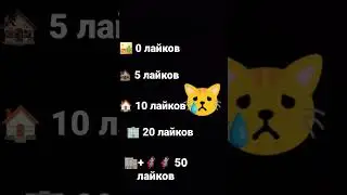 Где котику жить🥺