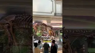 Tiga musium yang wajib di kunjungi selama di Washington DC