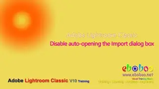 Adobe Lightroom Classic - Disable auto-opening the Import dialog box
