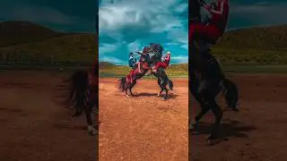ЭКСКЛЮЗИВ 12. ТОПОВОЕ ВИДЕО ПРО ЛОШАДЕЙ #horse #кони #лошади #асау #жеребец #айғыр #тай #жылкы