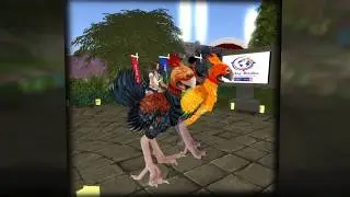 Second Life - RFL Track Birds - 2020
