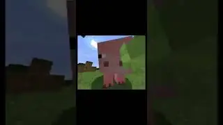 pig