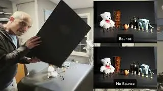 Characteristics of Light in Still Life Photography