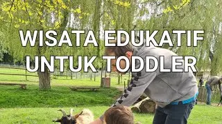 WISATA EDUKATIF UNTUK TODDLER