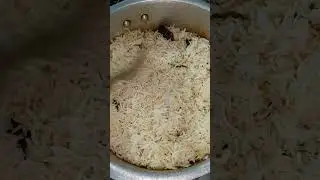 Chicken Biryani