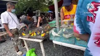 MALABON PET MARKET