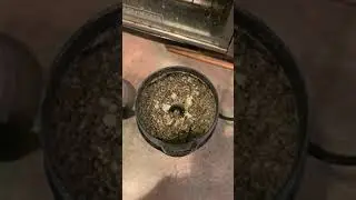 Inspired vegan furikake seaweed sesame seed seasoning plant based