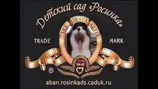 ВЫПУСК   2016 ''Подсолнушки''  1- я ч.