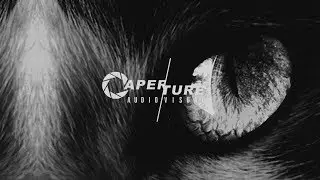 Schrödinger's Cat | Aperture Science Time