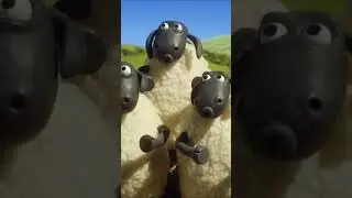 Shaun the Sheep tries gymnastics 🤸‍♂️ Championsheeps 