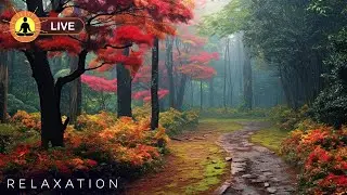 This live stream has ended. We will release a new version of this live stream soon. See link below