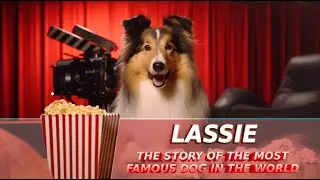 THE STORY OF THE MOST FAMOUS DOG IN THE WORLD: LASSIE