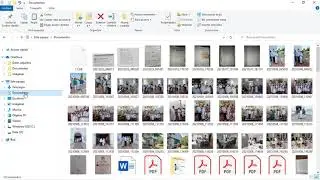 ORDENAR BASE DE DATOS Y FOTOS EN CARPETA1
