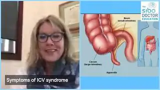 How to Release a Stuck Ileocecal Valve - Discussion with Dr Jacobi