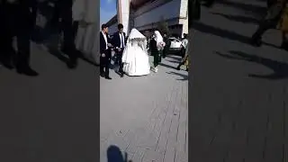 Бачама туй кардам Шукри Худо
