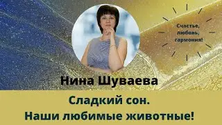 Сладкий сон. Наши любимые животные! #домашниепитомцы #любимыеживотные