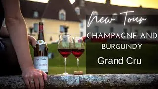 Champagne and Burgundy Grand Cru Tour