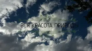 ВСЯ КРАСОТА ПРИРОДЫ/МЫ ДОЛЖНЫ ЕЁ БЕРЕЧЬ//SONIA MALINA//