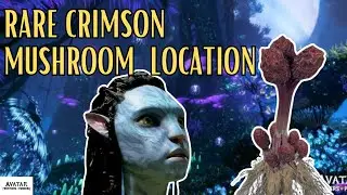 Where To Find Rare Crimson Mushroom -  Avatar Frontiers Of Pandora