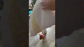 Распаковка с Amazon.
