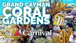 Grand Cayman Barrier Reef and Coral Gardens! [Carnival Cruises Rays & Reef Snorkel Excursion]