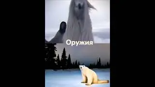 Птица 2027 vs медведя 2026 