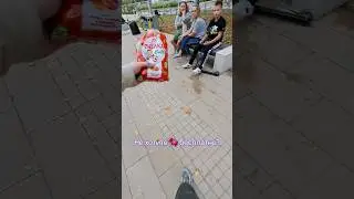 Странная Реакция Прохожих на Бесплатные Конфеты 