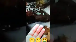 Hitoylarning dastidan dunyoda hechnarsa qolmadi😂