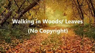 Walking in Woods / Leaves - Free Sound Effect