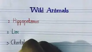 Wild Animals Vs Domestic Animals || Wild animals names and Domestic animals names || Infinitealpha