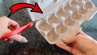 THIS is why you should NEVER throw away the Egg Carton 💥 Surprisingly GENIUS It’s amazing!