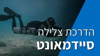 סיידמאונט: עבר, הווה ועתיד - רובי מיארה