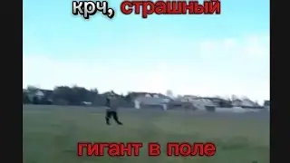 крч, мы сняли страшного гиганта посреди поля