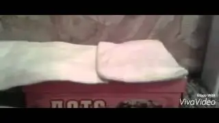 STOP MOTION:Утро СКЕЛИТЫ!!!