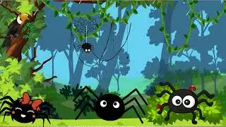 Little spider